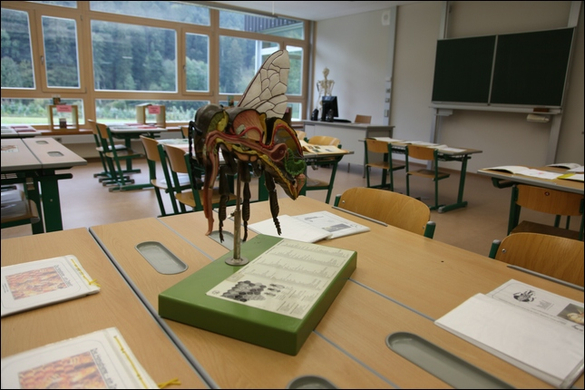HK_Er__ffnungMittelschule _69_.jpg