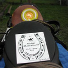 6.Noriker Rheindeltaritt