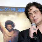 Benicio del Toro 2009