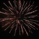 Wolfis Jahresrückblick 2005