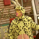 1322419.jpg