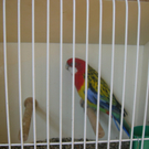IMG_0698.JPG