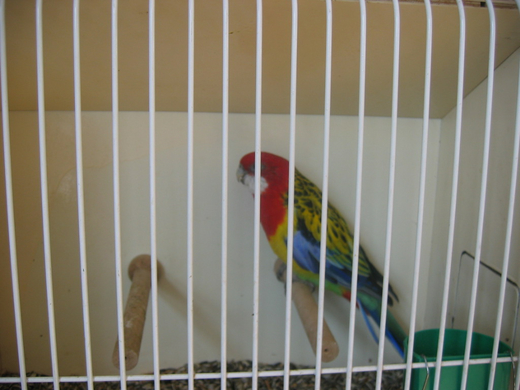 IMG_0698.JPG