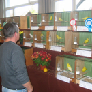 IMG_0725.JPG