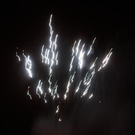 1343804.jpg
