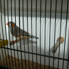 IMG_0741.JPG