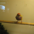 IMG_0754.JPG
