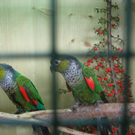 IMG_0778.JPG