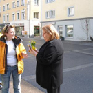 ANTENNE VORARLBERG Frühlingsboten in Bregenz
