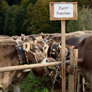 DSC01397.JPG