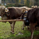 DSC01399.JPG