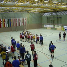 1365128.jpg
