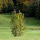 DSC01416.JPG