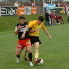 1374069.jpg