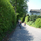 1394515.jpg