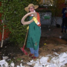 1412126.jpg