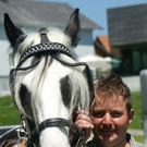 Fahrbewerb zur Vorarlberg Trophy in Langenegg
