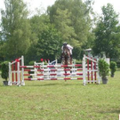 1455740.jpg
