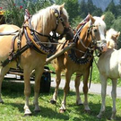 Umzug und Trachtenwette in Reuthe