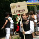 1465402.jpg