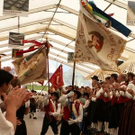 1466403.jpg