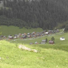 1477564.jpg