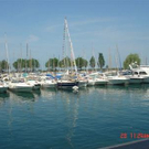 1482007.jpg