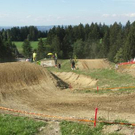 1497455.jpg