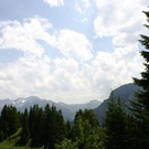 1504765.jpg