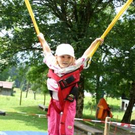 1504771.jpg
