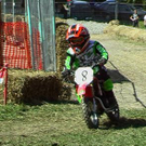 1516676.jpg