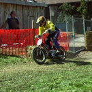 1516690.jpg