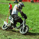 1516692.jpg