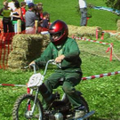 1516710.jpg