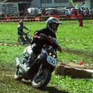 1516716.jpg