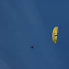 1516775.jpg