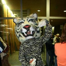 1530856.jpg