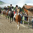Vorarlberger Tag des Pferdes 2006
