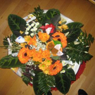 1544716.jpg