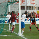1553574.jpg