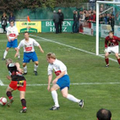 1553580.jpg