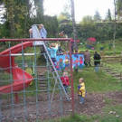 1554083.jpg