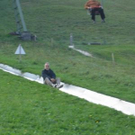 1555288.jpg