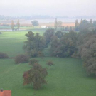 1723415.jpg