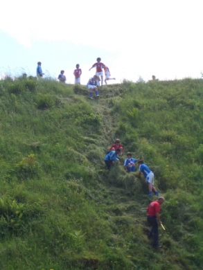 alpine_klein_9.jpg