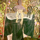 1731804.jpg