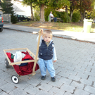 P1060524.JPG