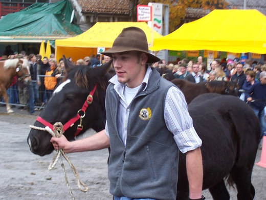 100_3864.JPG