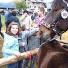 100_3867.JPG