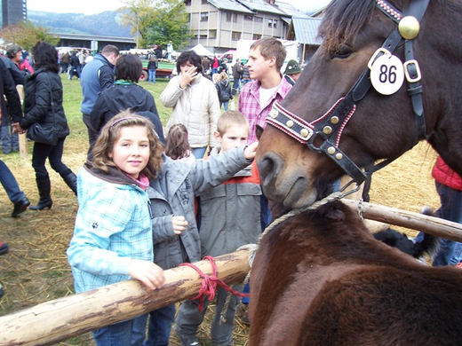 100_3867.JPG